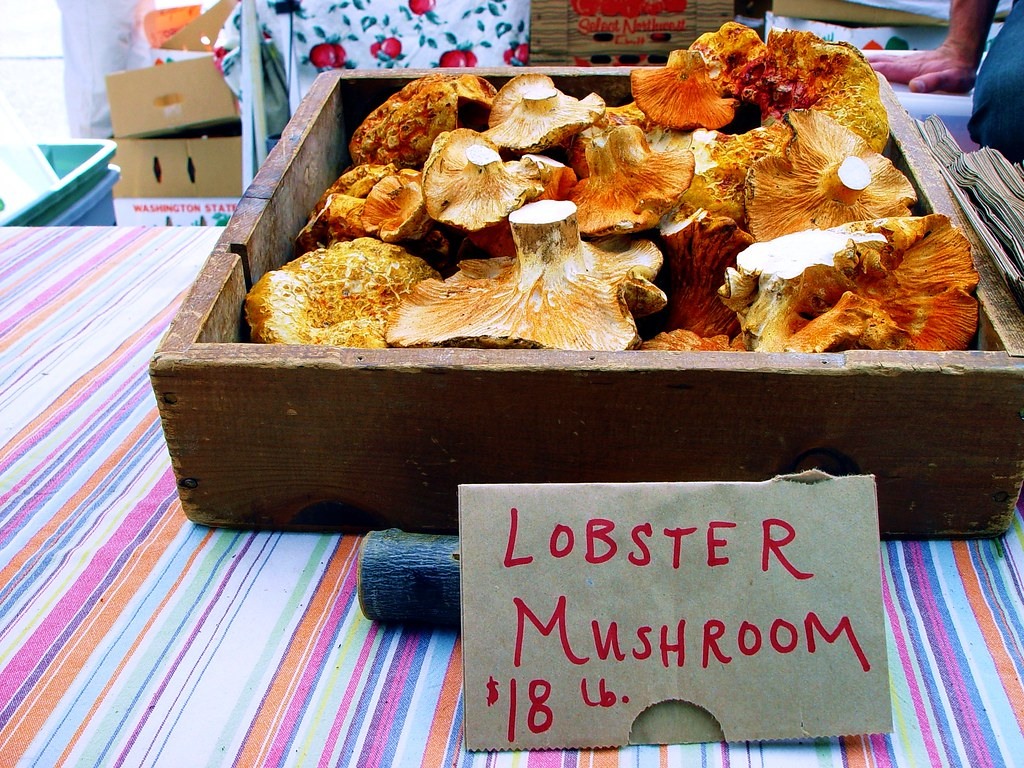 Representative image for Mushrooms