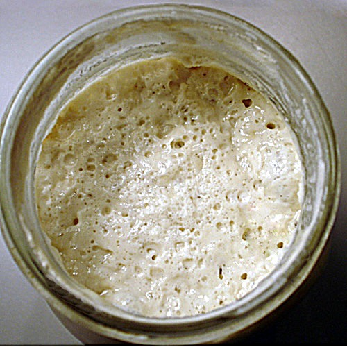 Representative image for Sourdough Starter
