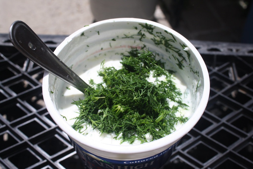 Representative image for Yogurt-Dill Sauce